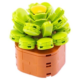 Klocki Mini Kwiaty Aeonium 136el