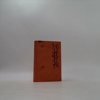 Křižáci na západě