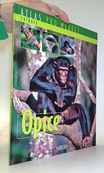 Opice (Atlas pro mládež)