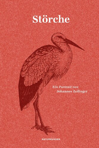 Störche
