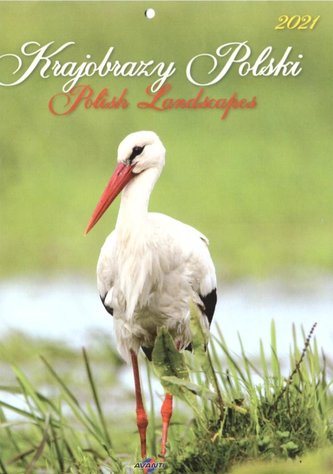Kalendarz 2021 KSM-1 Krajobrazy Polski AVANTI