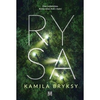 Rysa