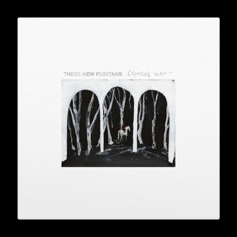 These New Puritans:  Crooked Wing (Clear)