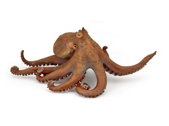 Chobotnice