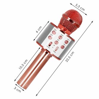 KG0029 HRAČKA S MIKROFONEM