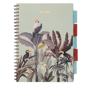 Kołozeszyt Pads A4/100K kratka Afryka pastel ziel