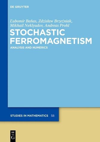 Stochastic Ferromagnetism