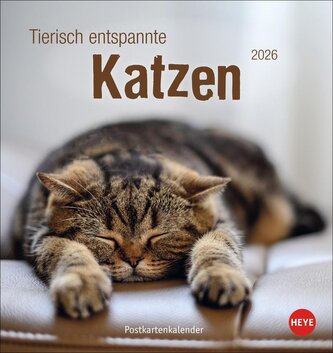 Tierisch entspannte Katzen Postkartenkalender 2026
