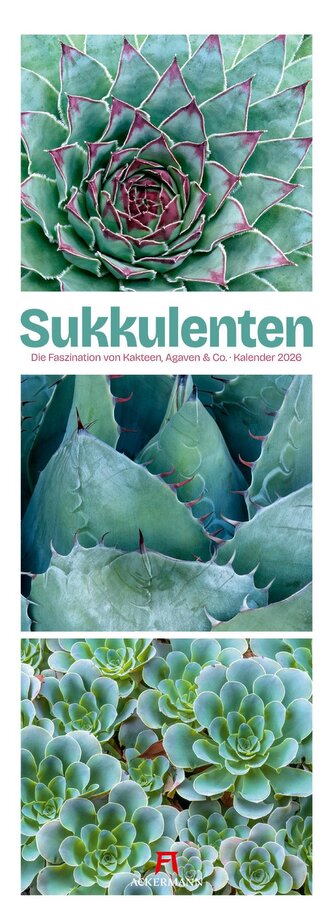 Sukkulenten Triplet-Kalender 2026 | Kakteen, Agaven & Co