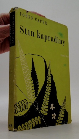 Stín kapradiny