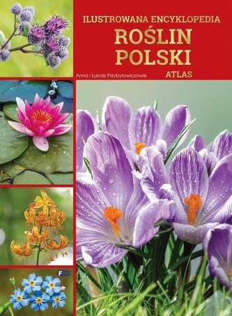 Ilustrowana encyklopedia roślin Polski. Atlas