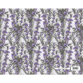 Dárkový balicí papír FLORENTIA 70x100 cm - rozmarýn