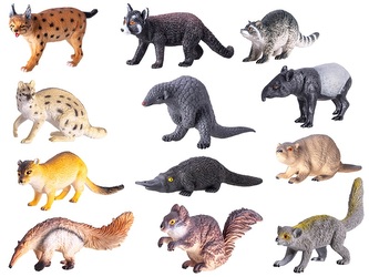 Lesní zvířátka 12 kusů, 12 druhů, naučný set