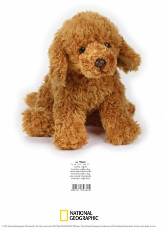 Pies Australijski Cobber - Labradoodle pluszowy 70680