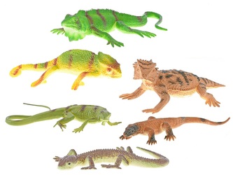 Plazi 12 kusů, 6 druhů, naučný set