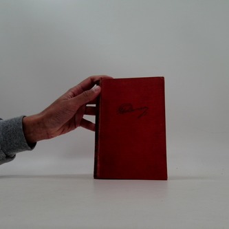 Tři mušketýři II.