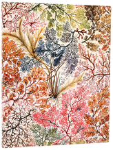 Notes Flexi William Kilburn Anemone Ultra gładki, Paperblanks