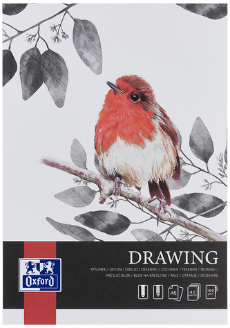 Blok rysunkowy A5 40 k. 160g Artistic klejony, Oxford