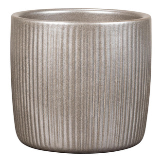 Obal 909 Magic Gold lesk 15 /VÁNOCE 2024/