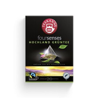 Zelený čaj Teekanne Foursenses - Fairtrade, 40 g