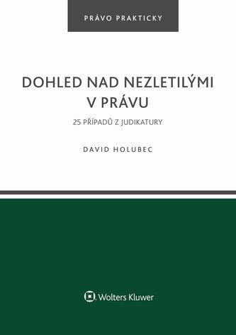 Dohled nad nezletilými v právu. 25 příkladů z judikatury