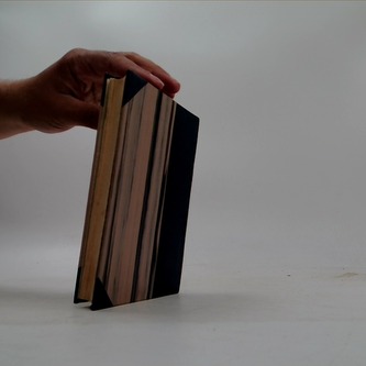 Zaměněná zavazadla