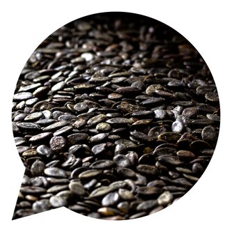 Semínka dýňová BIO