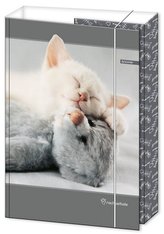 Teczka z gumką A5 Priplak Rachael Hale