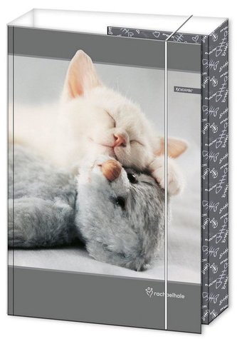 Teczka z gumką A5 Priplak Rachael Hale