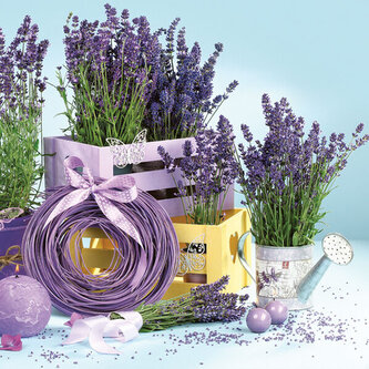 Ubrousky MAKI L (20ks) Lavender Indoors