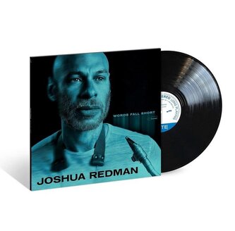 Words Fall Short - LP