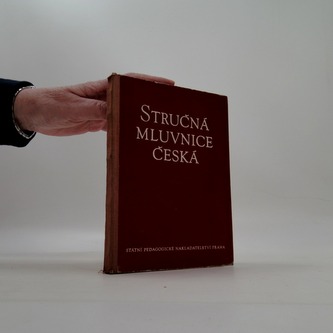 Stručná mluvnice česk