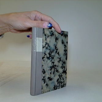 Revoluční trilogie 1907-1909. Hry českého jeviště 2.