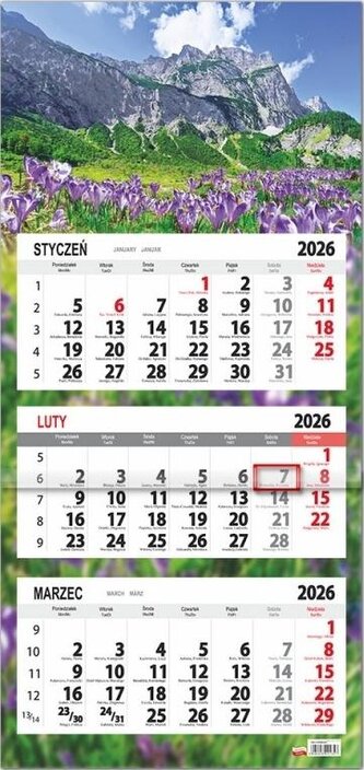 Kalendarz 2026 trójdzielny płaska główka Krokusy