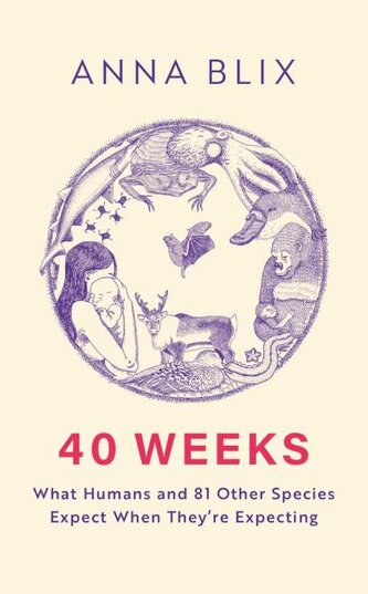 40 Weeks
