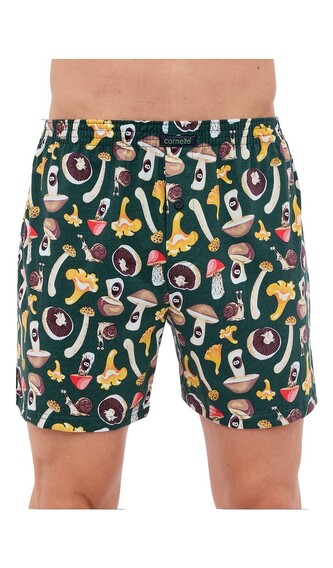 Pánské trenky Cornette Classic vícebarevné (001/165) L