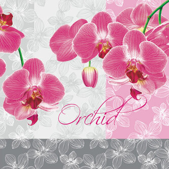 Ubrousky MAKI L (20ks) Romantic Orchid