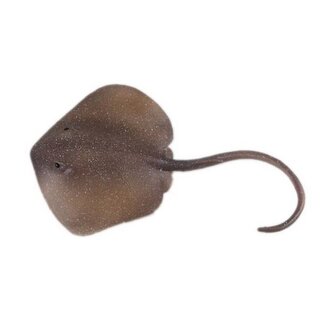 C - Figurka Rejnok Trnucha východní 18,5 cm