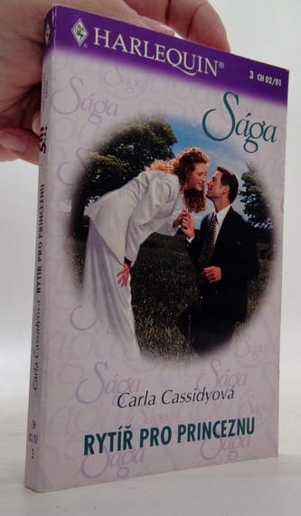 Rytíř pro princeznu