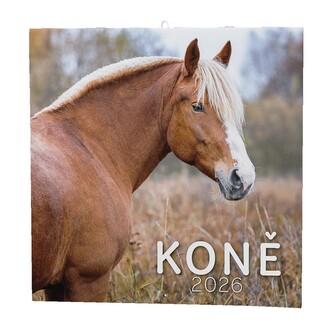 Baloušek Tisk - nástěnný poznámkový kalendář Koně 2026, 28,5 × 28,5 cm
