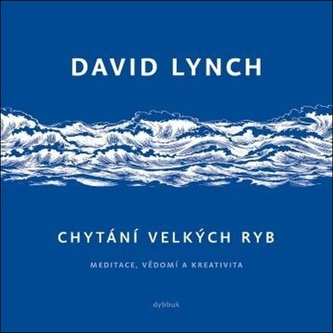 Chytání velkých ryb