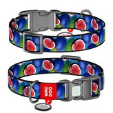 WAUDOG obojek nylon Fíky QR (M/28-40cm/2cm)