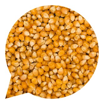 Kukuřice na popcorn BIO