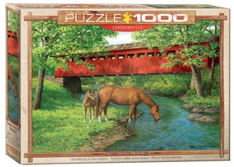 Puzzle 1000 Rodzina koni
