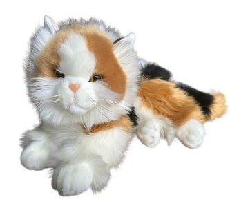 Kot Calico 30cm