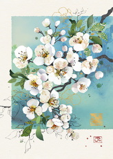 Přání B058 BUG ART