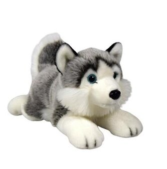 Pies Husky 27cm