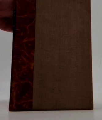 Raisovy spisy- Za svězem