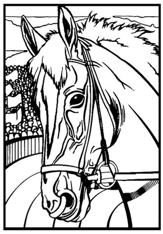 Kolorowanka welwetowa A4, Koń Profil, Colorvelvet
