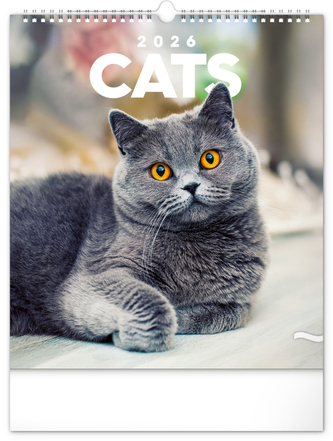 Kalendář 2026 nástěnný: Kočky, 30 x 34 cm